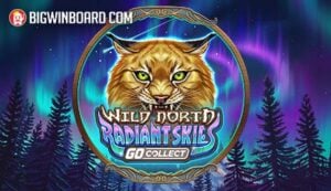 วิธีแทงบอลให้ได้เงินแบบเซียนที่คุณควรรู้จัก